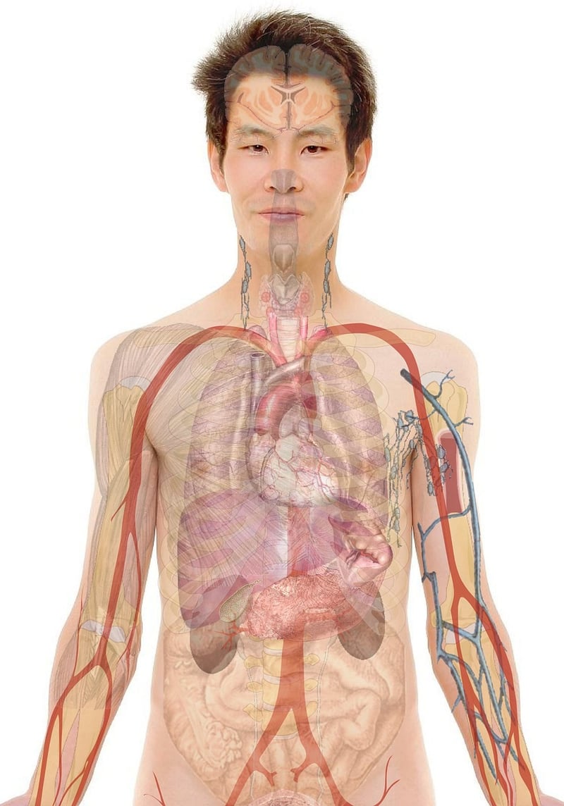 Body scan practice